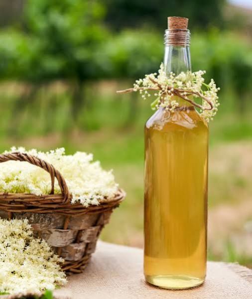 Elderberry Seed Oil