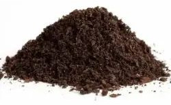 Cow Dung Powder for Agricultural Use