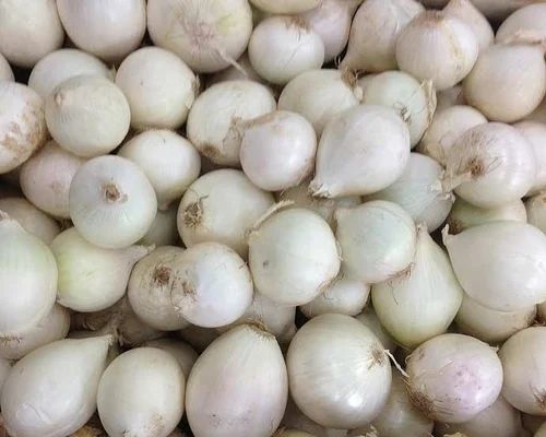 Fresh White Onion