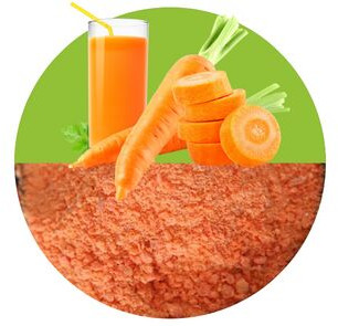 Carrot Powder, Grade : Food Grade