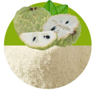 Custard Apple Powder, Packaging Size : 25 Kg