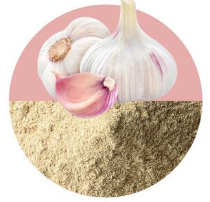 Garlic Powder for Cooking