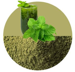 Mint Powder, Packaging Size : 25 Kg