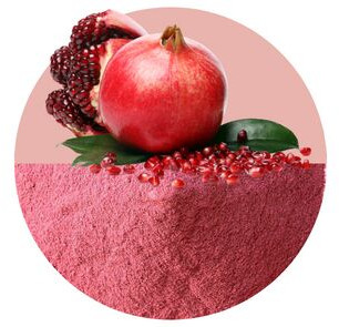 Pomegranate Powder for Making Juice, Restaurant, Bakery