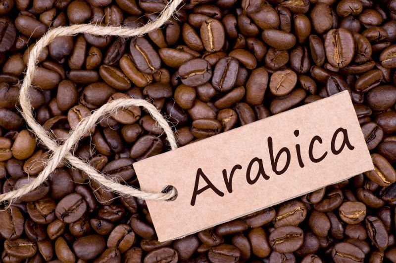 Arabic Coffee Beans