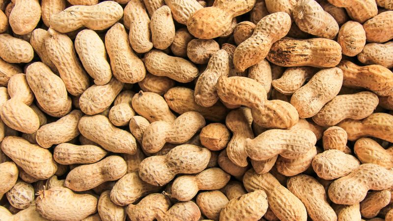 groundnut