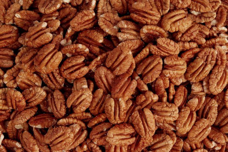 Pecan Nuts