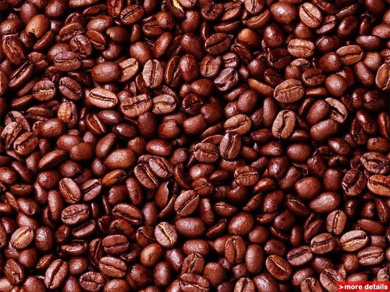 robusta coffee beans