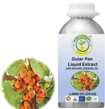 GULAR PAN LIQUID EXTRACT