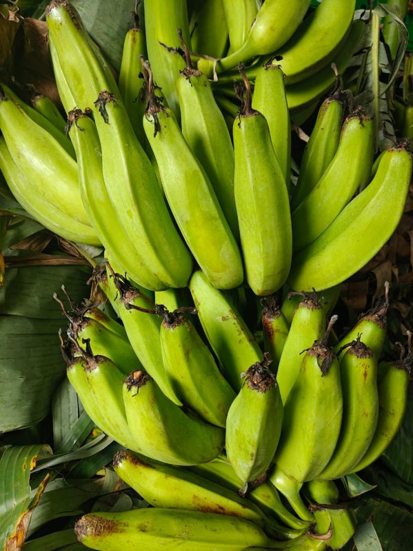 Raw Green Bananas