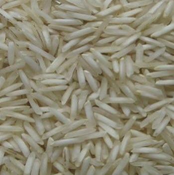 1509 basmati rice