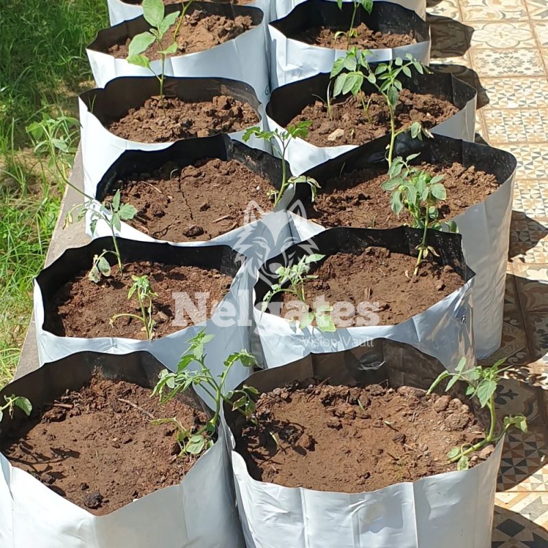 Nelgates Grow Bags