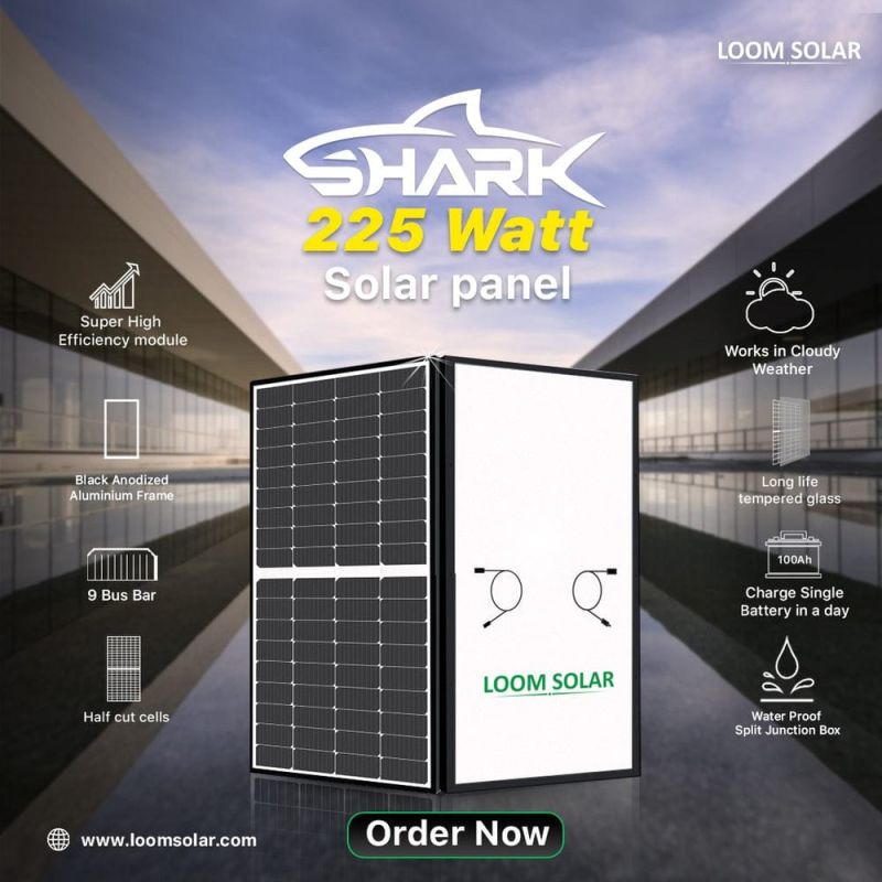 Loom Solar 225 Watt 12 Volt Panel