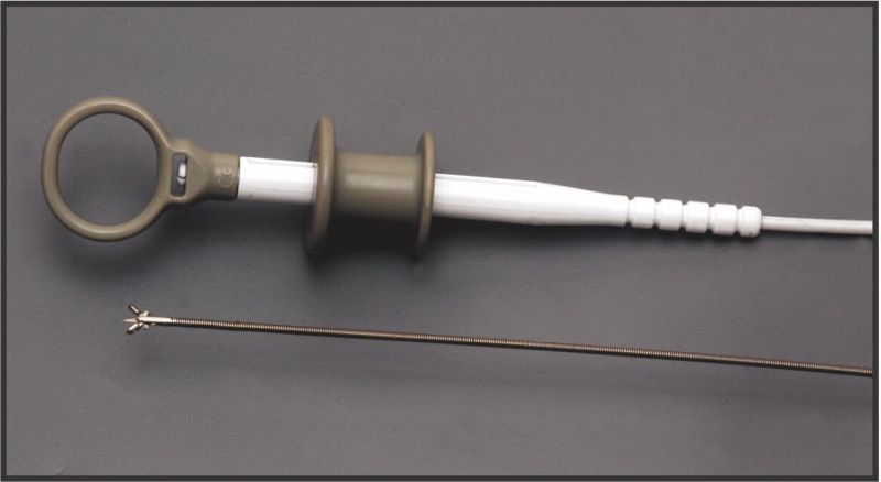 Biopsy Forcep Bronchoscopy Colonoscope Gastroscope With Spike