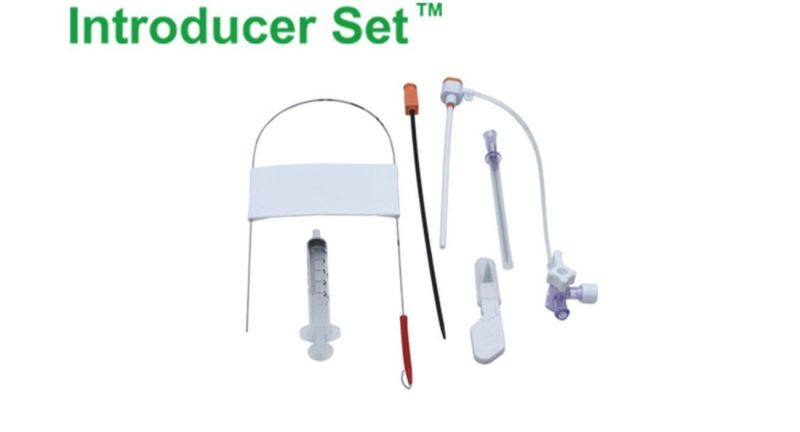 Cordis Introducer Sheath