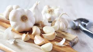 fresh garlic