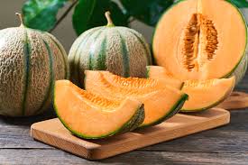 fresh muskmelon