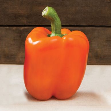 Fresh  Orange Capsicum