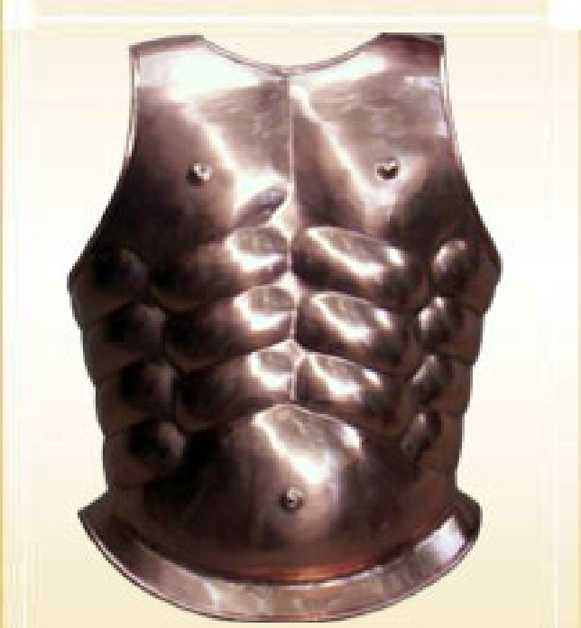 Copper Finish Muscle Armour