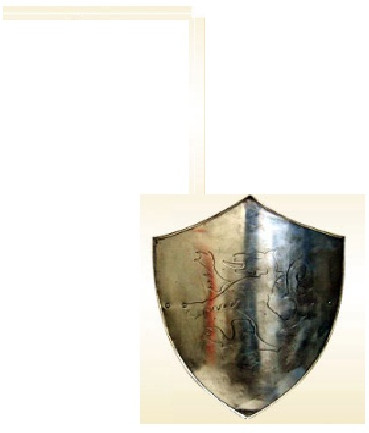 Lion Shield