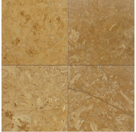 Flowery Gold Sandstone