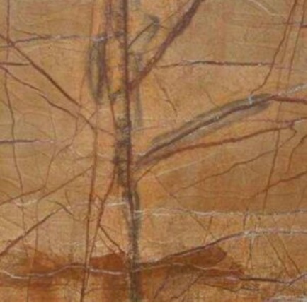 Indian Rain Forest Golden Marble