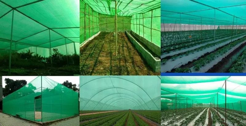 Agriculture Shade Net