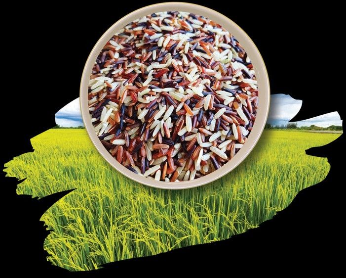 Shashtika Shali Rice