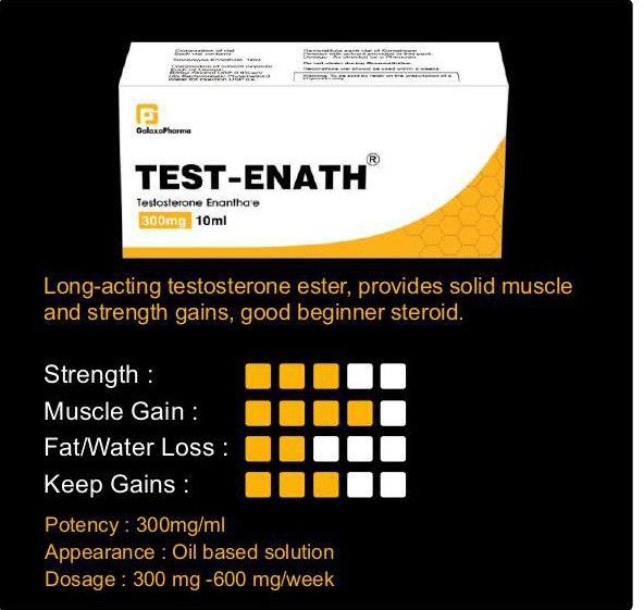 Test Enath 300mg Injection