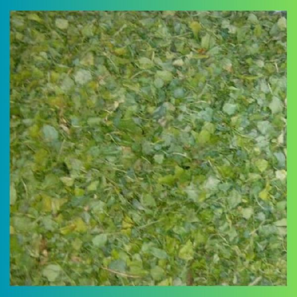 Dried Coriander Leaves