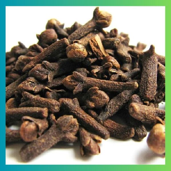 Clove Seeds