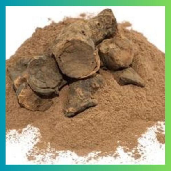 Pashan Bhed Root Powder