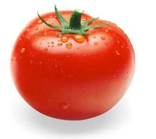 fresh red tomato