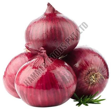 fresh onion