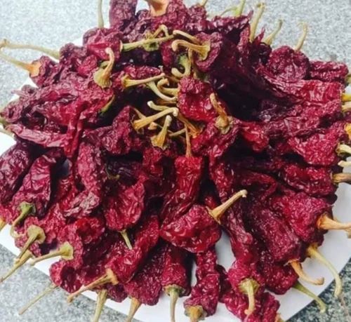 Byadgi Dabbi Dried Red Chilli