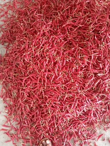 Teja Dried Red Chilli