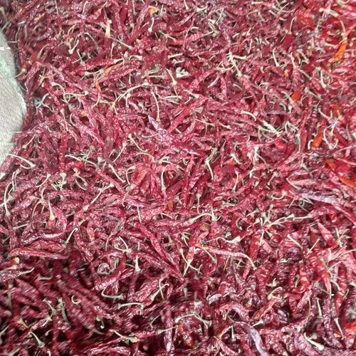 Super 100 Old Dried Red Chilli