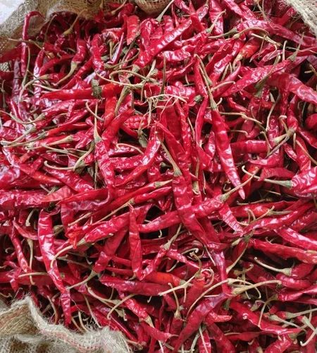 Teja Dried Red Chilli