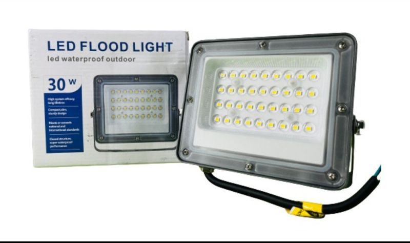 LED Flood Light