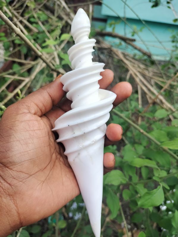 Spear Sea Shell