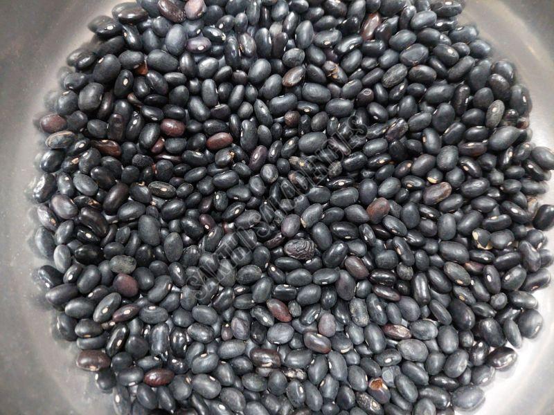 Black Matpe Beans