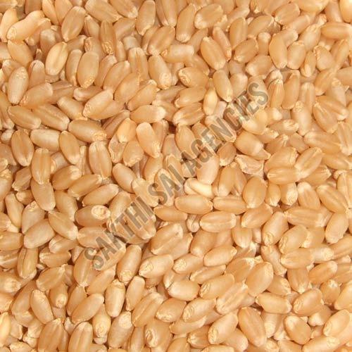 Dried Wheat Seeds