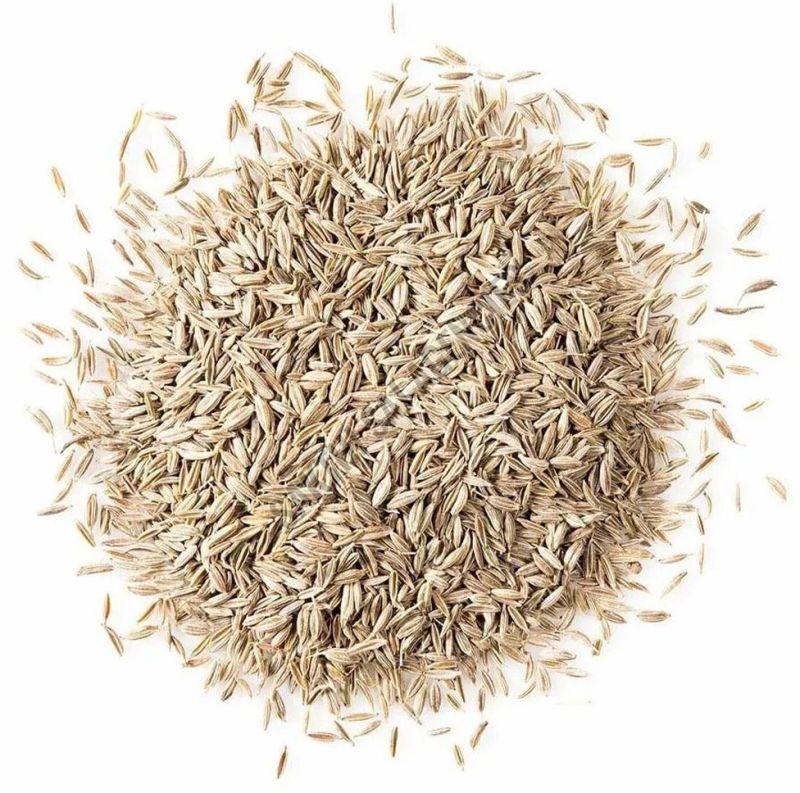 White Cumin Seeds