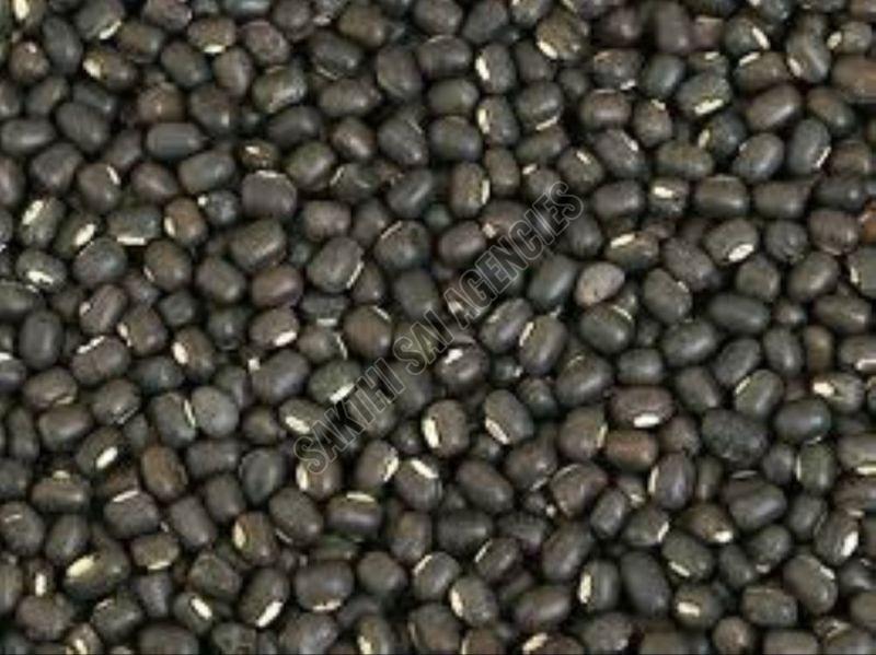 Whole Urad Dal