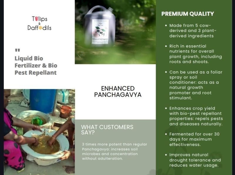 Concentrated Enhanced Panchaghavys- Soil Conditioner Fertilizer & Bio Pest repellant