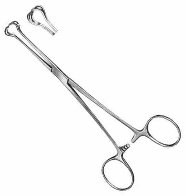 Babcock Forceps