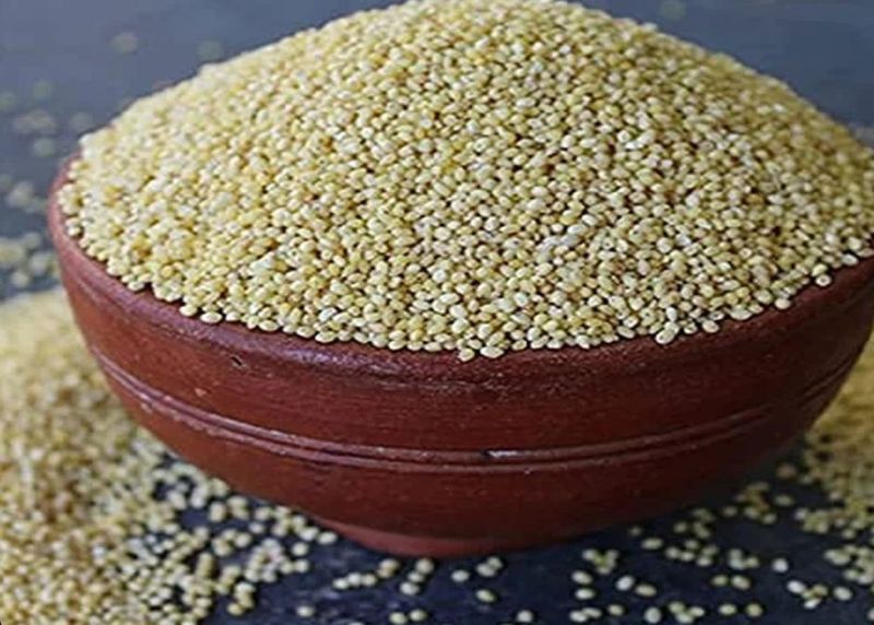 Organic Little Millet