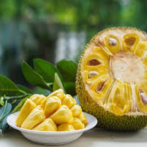 Jackfruit Pulp, Color : Yellow