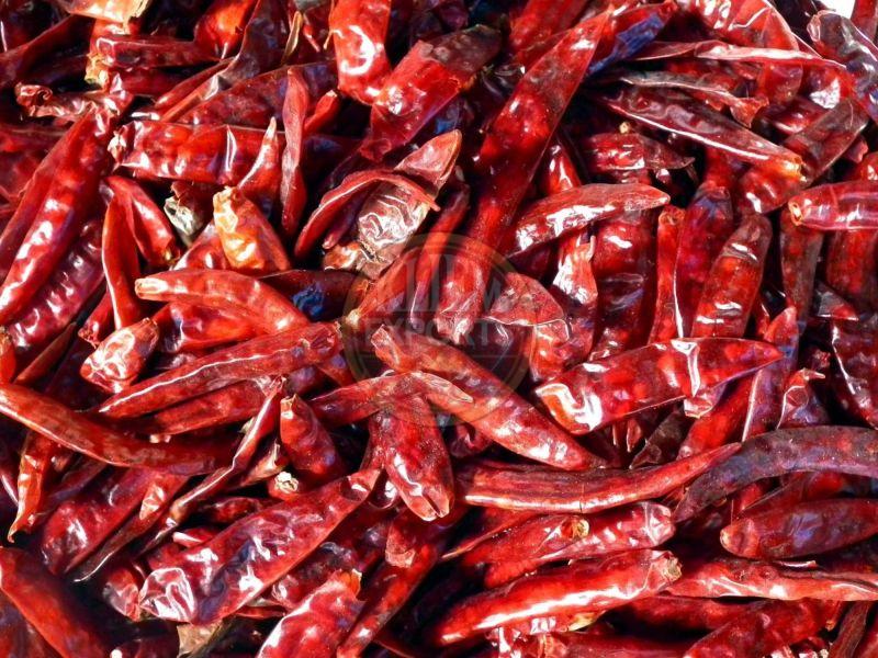 Dried Red Chilli