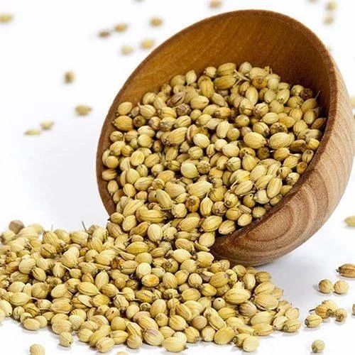 Coriander Seeds, Seed Type : Hybrid, Packaging Type : Plastic Bag